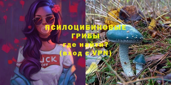 spice Карпинск