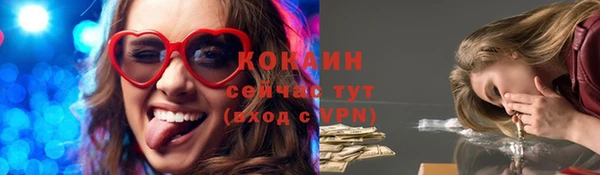 spice Карпинск