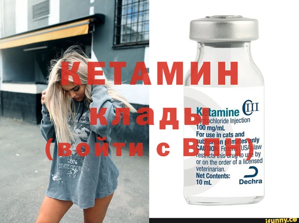 соль ск Каменка