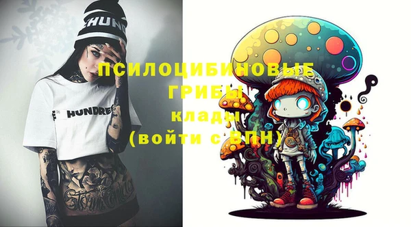 spice Карпинск