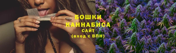 spice Карпинск