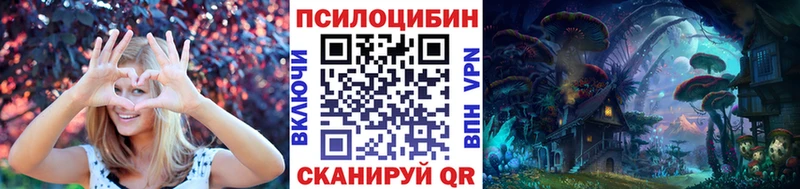 Псилоцибиновые грибы Psilocybine cubensis  Купить закладки  Кинель 