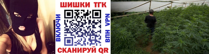 Бошки марихуана сатива Кинель