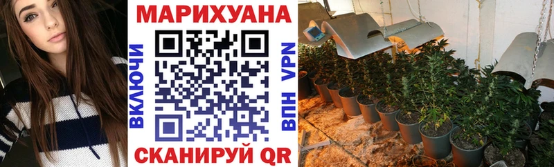 МАРИХУАНА планчик  Купить  Кинель 